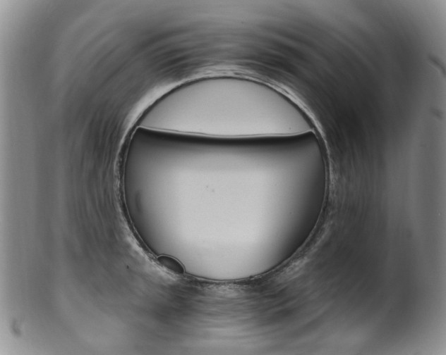 X0000101651045200807100935