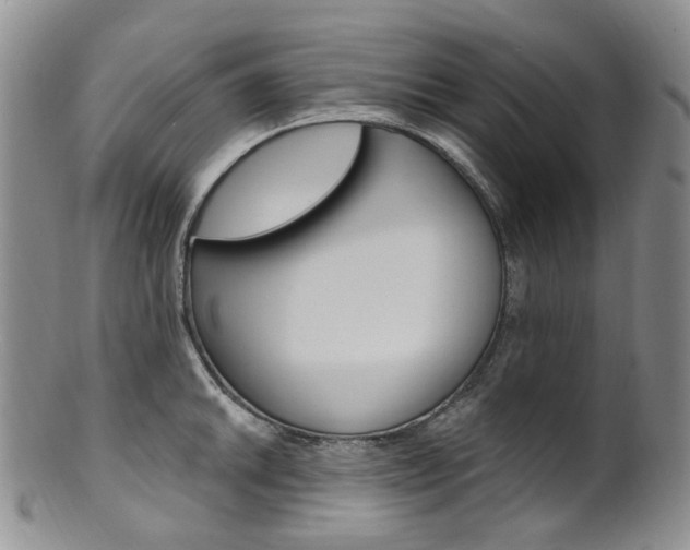 X0000101651046200807100935