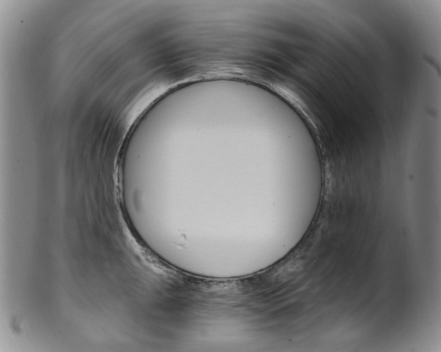 X0000101651047200807100935