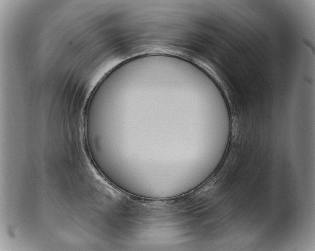 X0000101651048200807100935