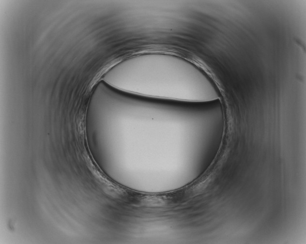 X0000101651049200807100935