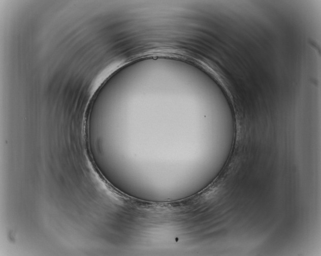 X0000101651050200807100935