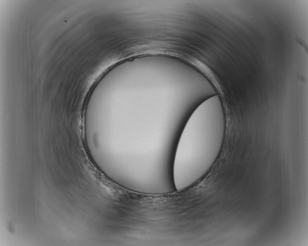 X0000101651051200807100935