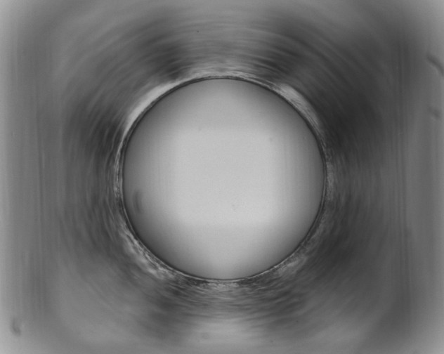 X0000101651052200807100935