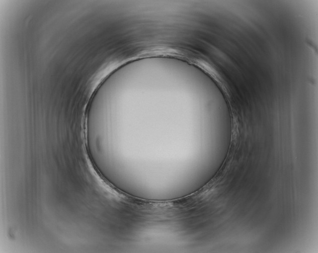X0000101651055200807100935