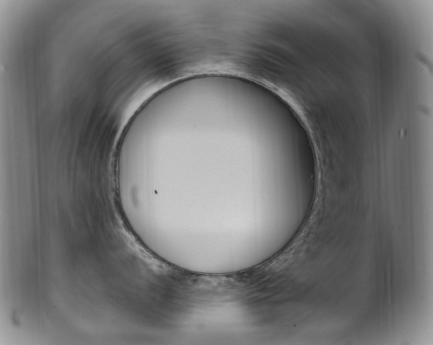 X0000101651056200807100935