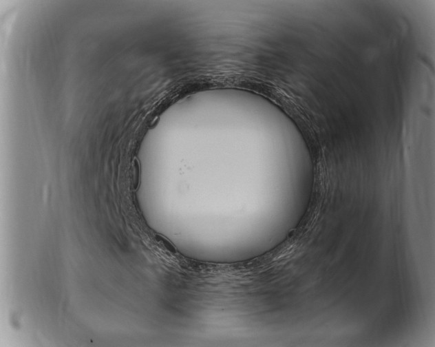 X0000101651057200807100935