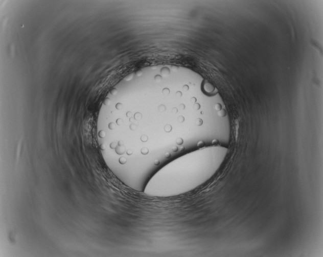 X0000101651059200807100935