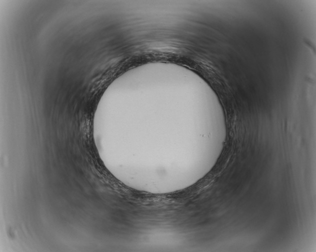 X0000101651061200807100935