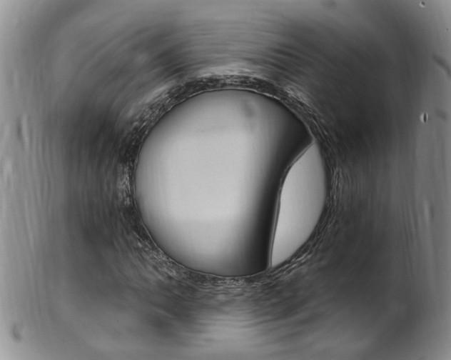 X0000101651062200807100935