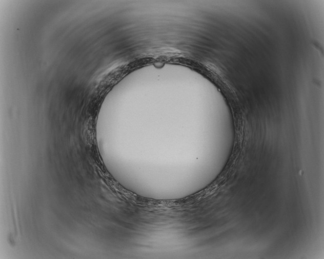 X0000101651063200807100935