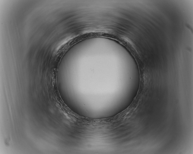 X0000101651064200807100935