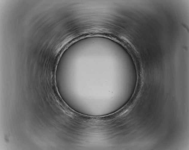 X0000101651065200807100935