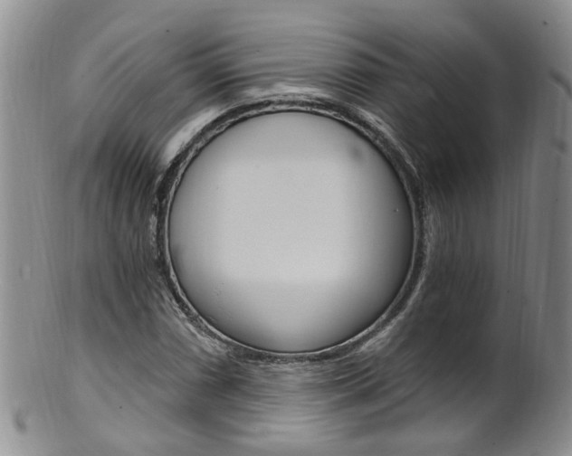 X0000101651066200807100934