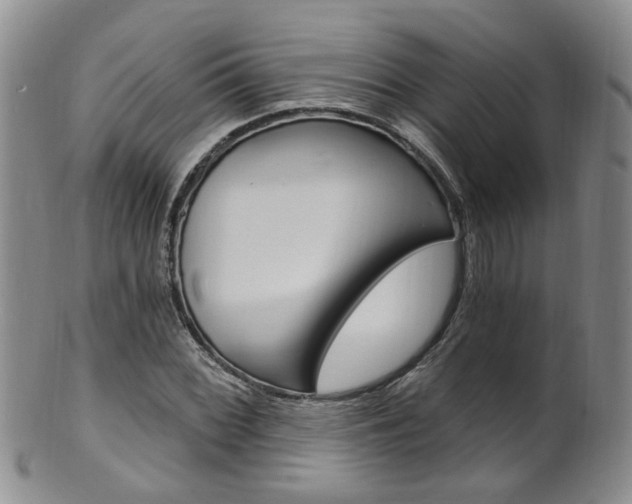 X0000101651068200807100934