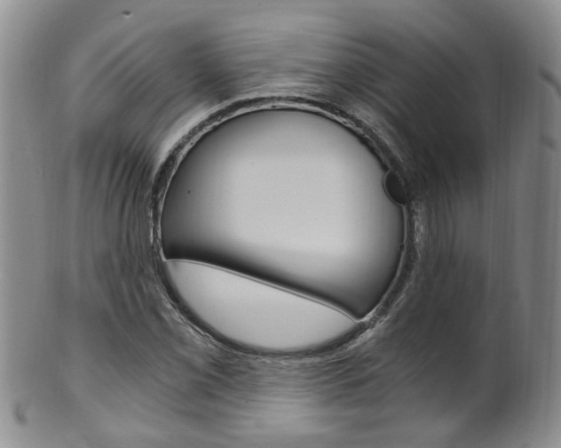 X0000101651069200807100934