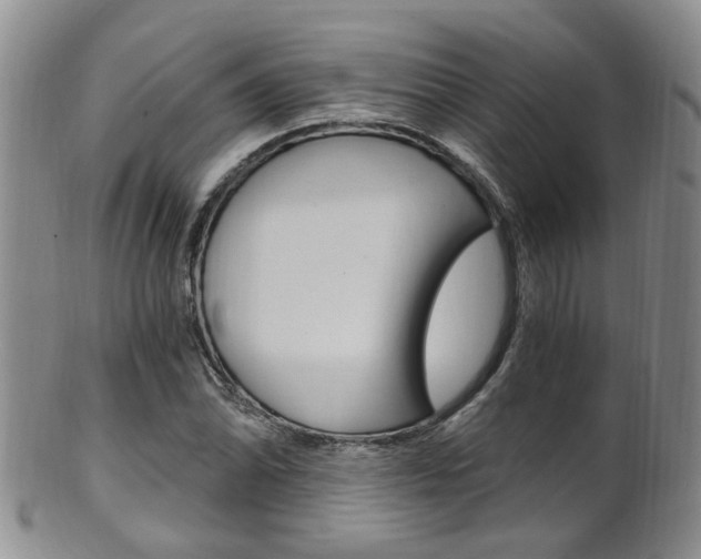 X0000101651070200807100934