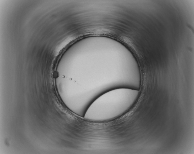 X0000101651071200807100934