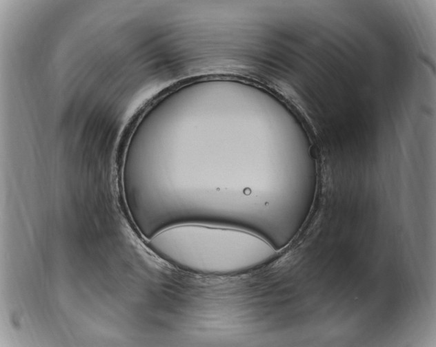 X0000101651072200807100934