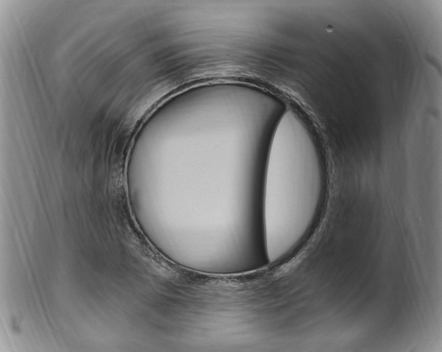 X0000101651073200807100934