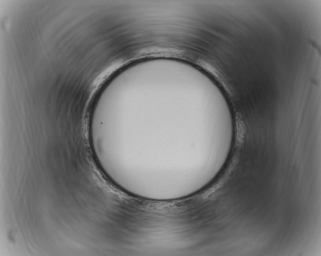 X0000101651074200807100934