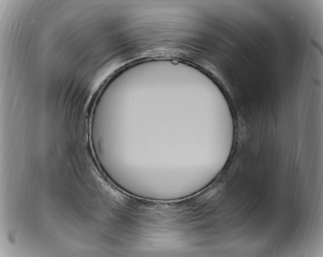 X0000101651075200807100934