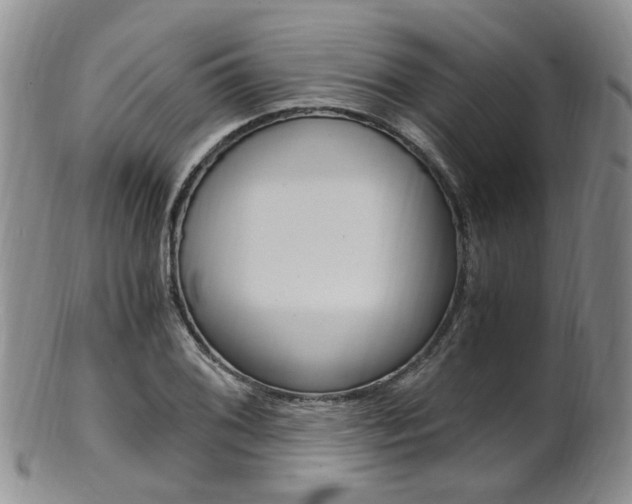 X0000101651076200807100934