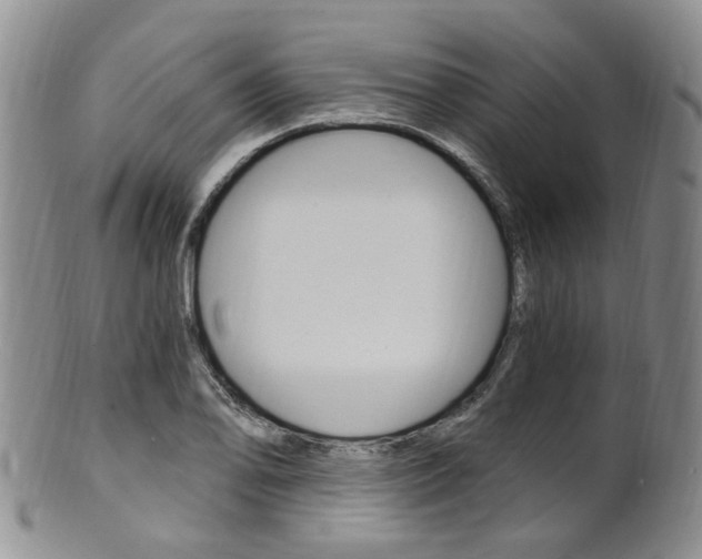 X0000101651078200807100934