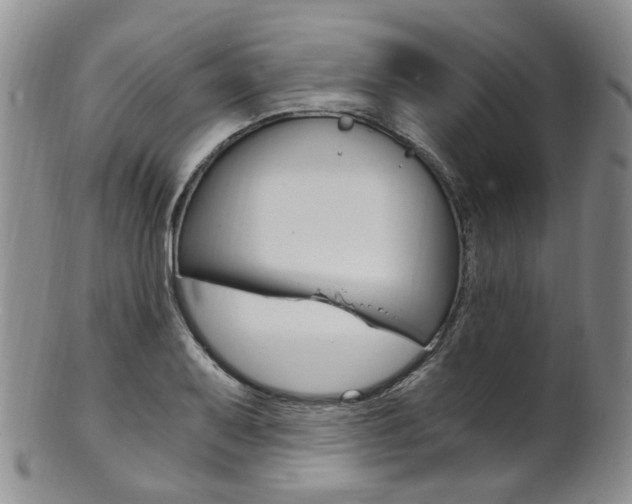 X0000101651079200807100934