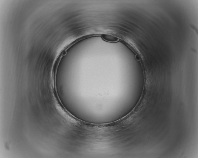 X0000101651080200807100934