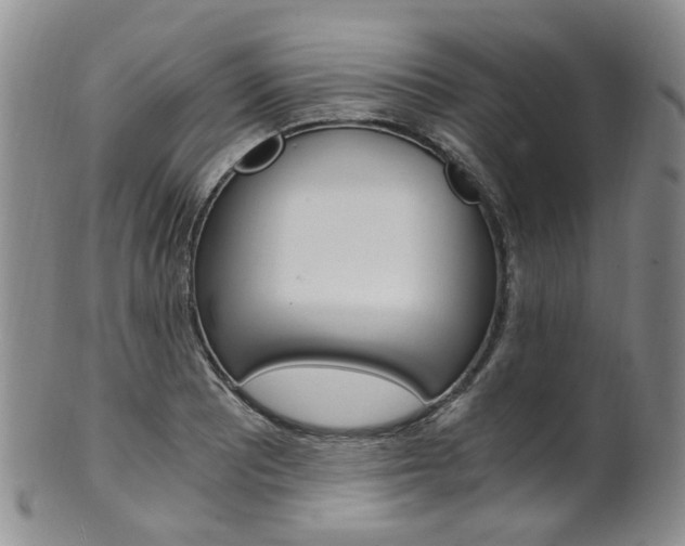 X0000101651081200807100934