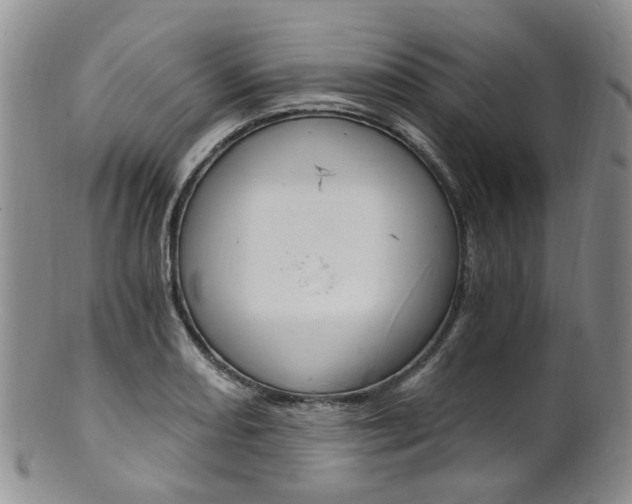 X0000101651082200807100934
