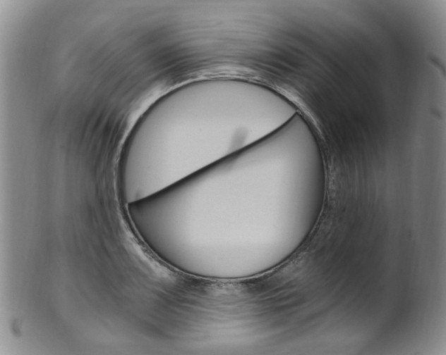 X0000101651083200807100934