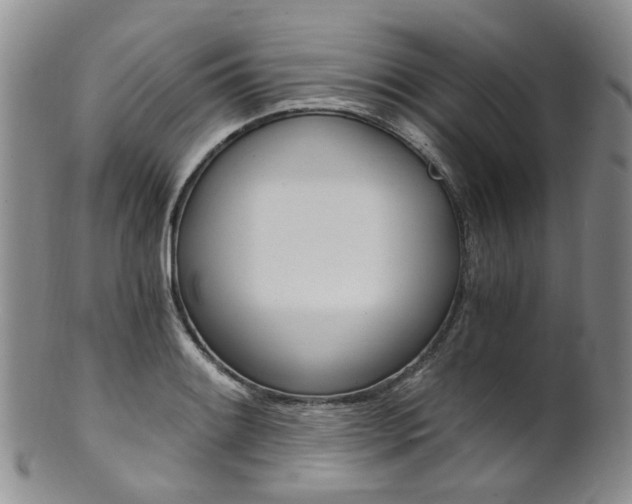 X0000101651084200807100934