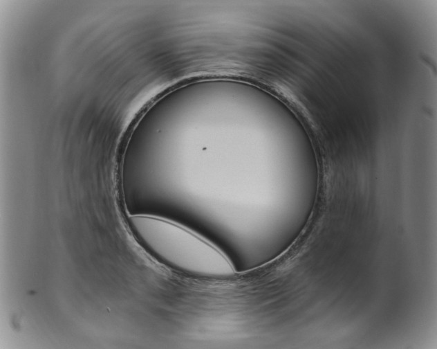 X0000101651085200807100934
