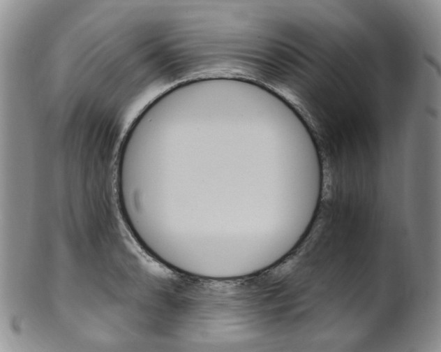 X0000101651086200807100934