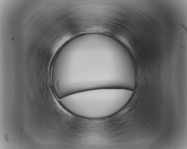 X0000101651087200807100934