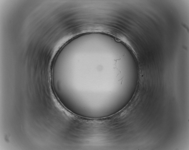 X0000101651088200807100934
