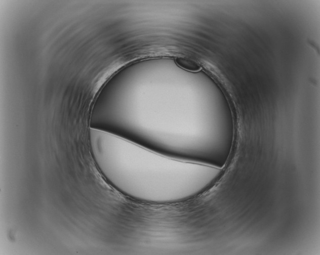 X0000101651089200807100934