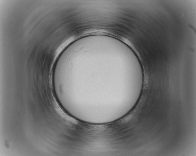 X0000101651090200807100934
