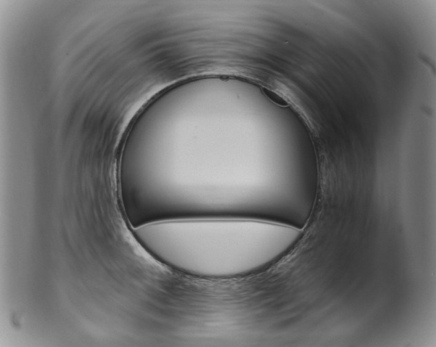 X0000101651092200807100934