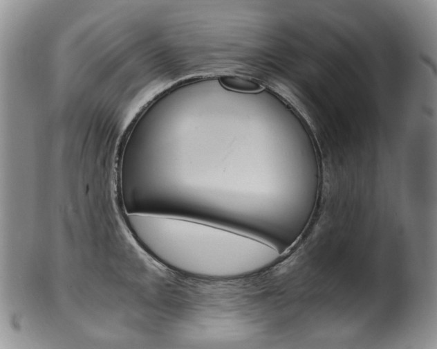 X0000101651093200807100934