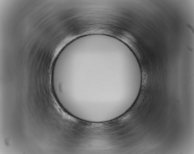 X0000101651094200807100934