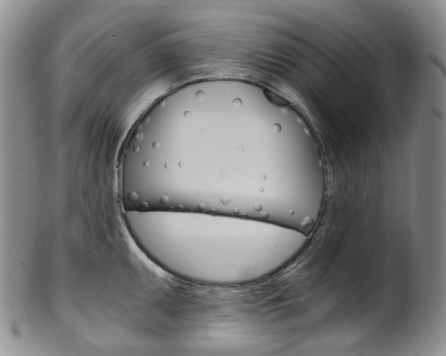 X0000101651095200807100934