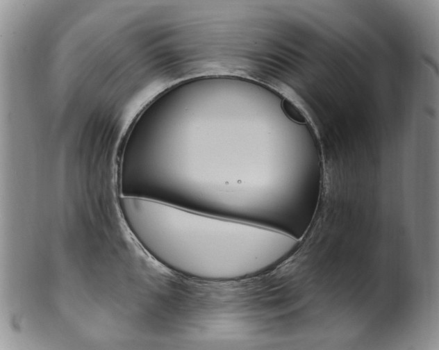 X0000101651096200807100934