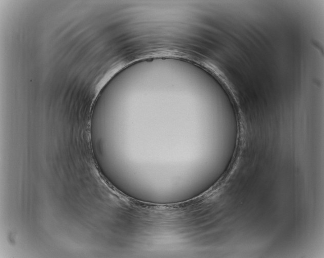 X0000101651097200807100934
