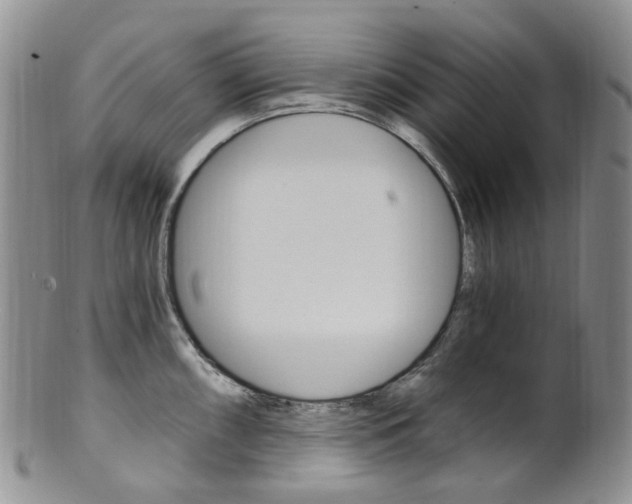 X0000101651098200807100934