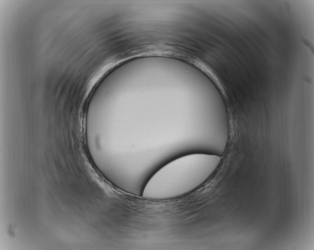 X0000101651099200807100934