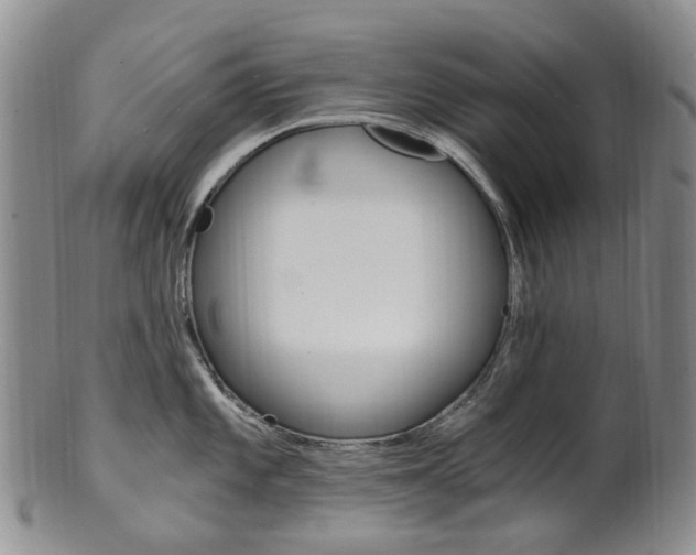 X0000101651101200807100934