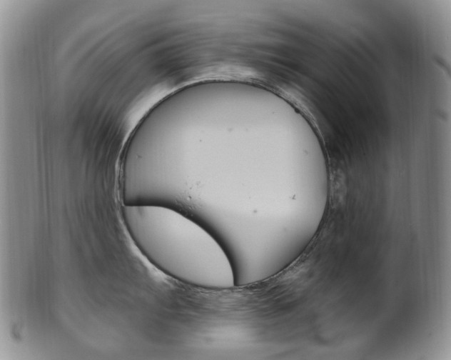 X0000101651103200807100934